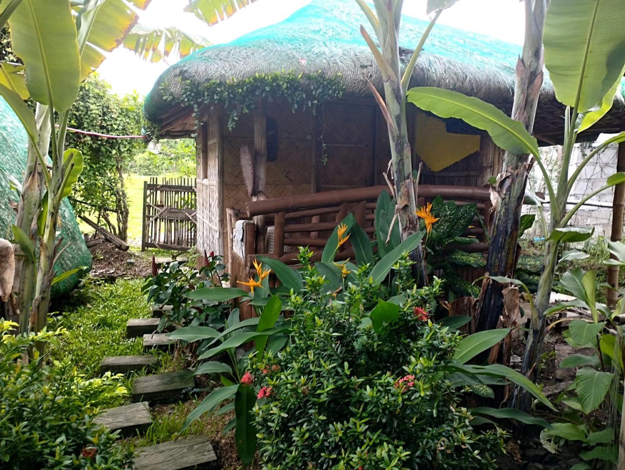 Dupas Luce Love Lodges Talipan Exterior foto